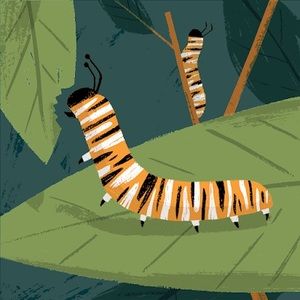 Meet your Posher, Madison